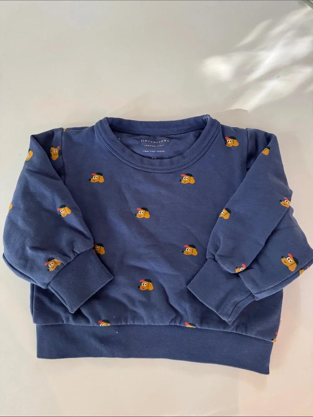 SET | Tinycottons | Navy Sweatshirt and Pants with Puppy Print